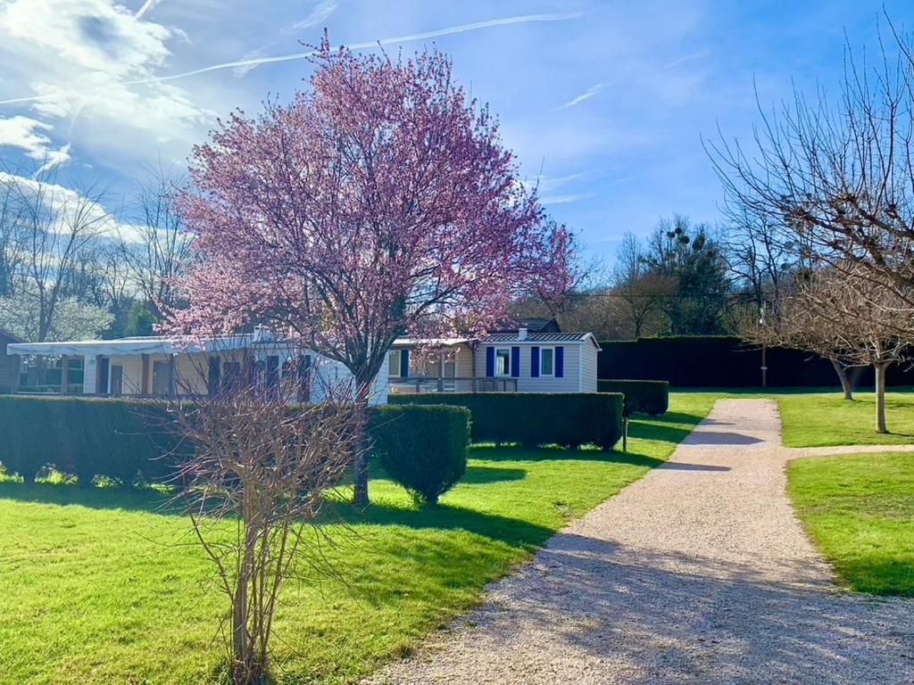 Camping Familial Paisible Avec Piscine, Mobil Home , Chalet, Studio & Emplacement Nue Casties-Labrande Eksteriør billede